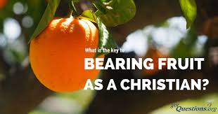 What Is The Key To Bearing Fruit As A Christian Gotquestions Org