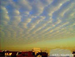Discover (and save!) your own pins on pinterest. åœ°éœ‡äº'å‡ºçŽ°å¤šä¹…ä¼šåœ°éœ‡ åœ°éœ‡äº'å‡ºçŽ°ä¸€å®šä¼šåœ°éœ‡å— æ¯æ—¥å¤´æ¡
