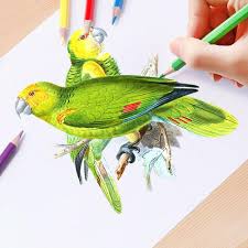 Desene de colorat fructe qbebe planse si imagini de colorat. Desene Animate De Pictat Creioane Colorate Desen Animat Graffiti Pen Kids PapetÄƒrie Cadouri CumpÄƒraÈ›i Cu PreÈ›uri Reduse Din Magazinul Online Joom