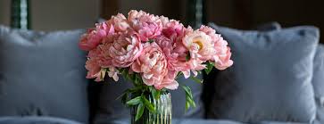 Maybe you would like to learn more about one of these? Next Day Peony Flower Delivery Bloom