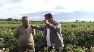 We did not find results for: Keciborlu Yesilyurt Gul Nasil Yetistirilir Gul Bahcesi Gubreleme Verimlilik Gul Bahcesi Youtube