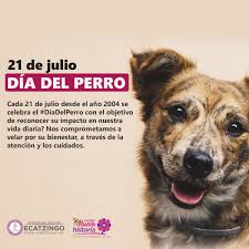 Jun 02, 2021 · se conmemora en nuestro país cada 2 de junio el día nacional del perro, el día del mejor amigo del hombre para recordar a un perro policía llamado chonino que falleció el 2 de junio de 1983, en medio de un procedimiento. Hoy 21 De Julio Es El Dia Mundial Ayuntamiento Ecatzingo Facebook