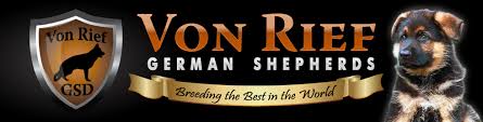 Our dedication to the betterment of the breed is paramount as is considering each family's wishes so that every puppy is placed in a home that is a solid match for both. German Shepherd Breeder Puppies For Sale In Co Von Rief German Shepherds