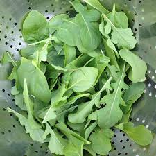 Growing Arugula Leaves Rocket Lettuce Family Food Garden Arugula Leaves Food Garden Growing Arugula