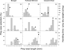 The Proportion Of Each Prey Size Selected Left Axis Bars