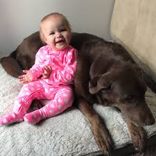 We focus on loving, learning, serving, and playing together as a family. For Part Of Janae S Birthday Celebration We Invited Our Friend S Dog Henna Over For A Play Date Janae Loved I J House Vlogs Birthday Celebration Youtubers