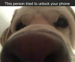 This Person Tried To Unlock Your Phone Funny
