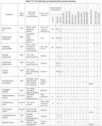 Experiment For Identification Of Unknown Bacteria With Figure