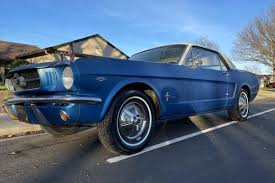 Image result for Guardsman Blue 1964 Mustang