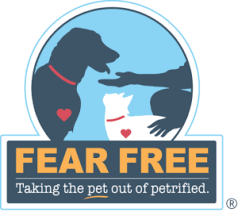 Veterans with service canines can now get free pet health insurance for their dogs through a veterans affairs department program. What Is Fear Free Why Is It Important Fear Free Pets