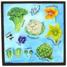 Typically, we eat more when we eat meals away from home and in the company of others. Cassie Liversidge Grow Your Own Ingredients Flowers We Eat Flowers We Eat Edible Flowers Flowers