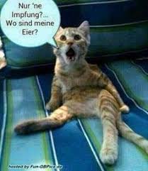 Wenn du auf der suche nach lustigen bildern bist, bist du hier genau richtig! 40 Whatsapp Bilder Kostenlos Ideen Whatsapp Bilder Kostenlos Bilder Whatsapp Status Bilder