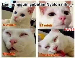 Wahyu Wahedsalam33 Profil Pinterest