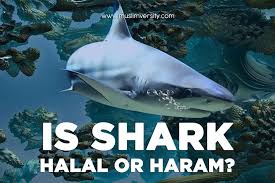 Fishing may be considered haram if it is done for merely sport or play and the fish is not used for food or selling. Is Octopus Haram Sunni List Of Halal Seafood And Haram Seafood According To Islam Eating Octopus Is Haram Forbidden