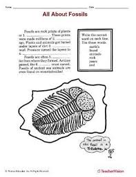 Plant seeds inside a sealed plastic bottle and observe both the water cycle and the plant life cycle in one. Plant Themed Lessons Printables Resources For Teachers Teachervision