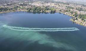 The Use Of Alum For Lake Management North American Lake Management Society Nalms
