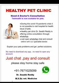 Book online or call your mobile doctor now. Best Veterinary Doctors In Kothapet Hyderabad Instant Appointment Booking View Fees Feedbacks Practo