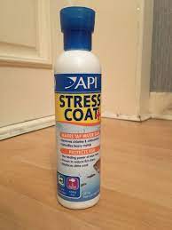Issues Regarding Stress Coat And How It May Be Affecting Your Fish My Aquarium Club
