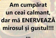 Nu punem unt de arahide peste fratele tău, nu punem peste el semințe pentru păsări și nu îl lăsăm să stea pe bancă! 900 Citate Amuzante Ideas Citate Amuzante Amuzant Citate