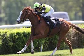 Christian Hogue nudes LPSg leaked video