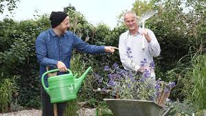 Gärtnern für jedermann | tipps für den perfekten rasen. Die Zarten Im Garten Ndr De Nachrichten Schleswig Holstein