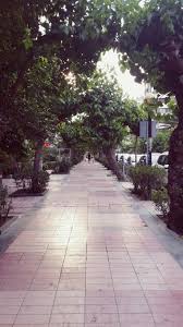 Izmir Gul Sokak Guller Sokak Turkiye