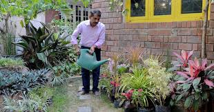 I believe that details are not just. Rooftop Gardening Is Catching On In India Because Of The Space Crunch In Big Cities