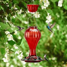 Best Hummingbird Feeders | Attract ...