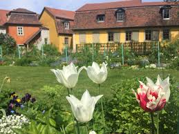 Weimar Goethes Haus Am Frauenplan Architect Architecture Book Authors