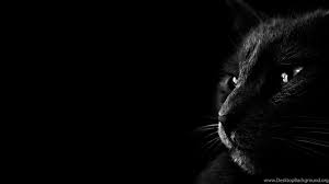 Maybe you would like to learn more about one of these? Dark Wallpapers Hd Wallpaper Download Xpx Hd Wallpaper Dark Wallpapers For Mobile 1080p Android Laptop Windows 7 Mac 1366x768 Iphone Nature Jpg Desktop Background