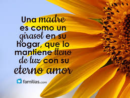 Pin On Yo Amo A La Vida