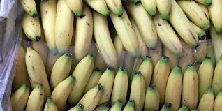 Une Usine De Bananes Va Pousser Dans Le Nord Gironde