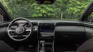 Image result for California Sand 2023 Santa Cruz