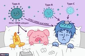 overview of influenza a and b