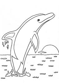 Alaska photography / getty images on the first saturday in march each year, people from all over the. Free Printable Dolphin Coloring Pages For Kids
