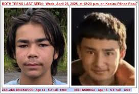 Ivanhoe caravan park thieving kids last seen