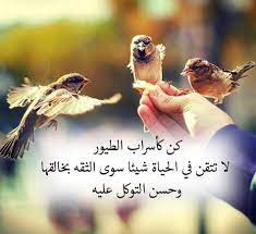 pin by صورة و كلمة on مواعظ خواطر إسلامية arabic quotes funny jokes reading