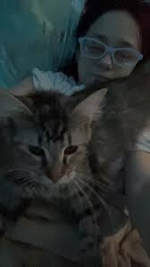 WNY Lost and Found Pets