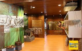 It features a 50 km race and also has shorter distances of 25 km and 10 km. Berbisik Dengan Hutan Rimba Di Pusat Edu Ecotourism Sungai Menyala Free Malaysia Today Fmt