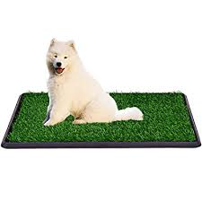 Polar bear rugs are the most sought after bear rugs on the market today. Buy Dog Grass Pad With Tray Pee Pad Grass Indoor Dog Potty Tray Puppy Potty Training Grass Grass Patches For Dogs Reusable 3 Layered Fake Dog Potty Grass Easy To Clean Online