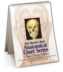 The Worlds Best Anatomical Chart Series Classic Library