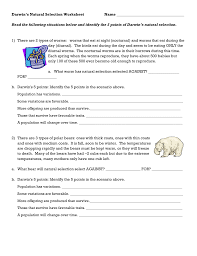 It is a genetic change through time. 28 Darwin Natural Selection Worksheet Answers Worksheet Resource Plans