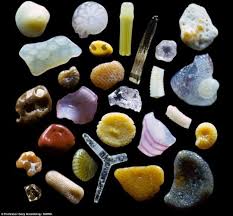 What Sand Looks Like Under A Microscope Microscopic Photography Things Under A Microscope Grain Of Sand