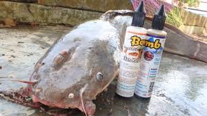 Di suatu petang yang indah lagikan damai.sekumpulan anak2 kampung berkomplot memancing ikan keli liar untuk dibuat. Umpan Ikan Keli Afrika Ikan Lele 101 Umpan Gila B12 Cengkerik Youtube