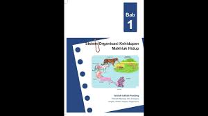 Kelas 7 Ipa Sistem Organisasi Kehidupan Makhluk Hidup Youtube