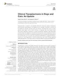 Find professional dogs and cats vet videos and stock footage available for license in film, television, advertising and corporate uses. Pdf Clinical Toxoplasmosis In Dogs And Cats An Update