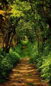 Pin By Alberto Morales On Spectacular Views Of Nature Nature Pictures Walking In Nature Landscape