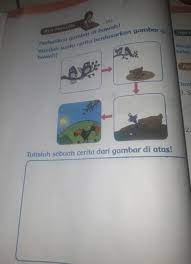 Luas segitiga tersebut adalah a. Perhatikan Gambar Di Bawah Ini Buatlah Suatu Cerita Berdasarkan Gambar Di Bawah Brainly Co Id