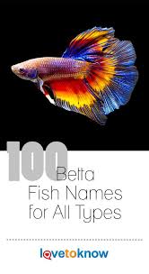100 Betta Fish Names For All Types Lovetoknow Betta Fish Beta Fish Names Betta
