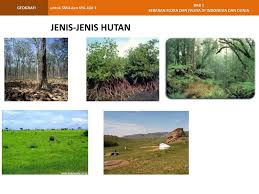 Seperti hutan hujan tropis, hutan musim, hutan bakau, sabana, serta rawa negara di benua asia, seperti myanmar, indo cina, india, malaysia serta indonesia (tersebar di pulau jawa di wilayah jawa tengah dan jawa timur. 1 Bab Sebaran Flora Dan Fauna Di Indonesia Dan Dunia Ppt Download